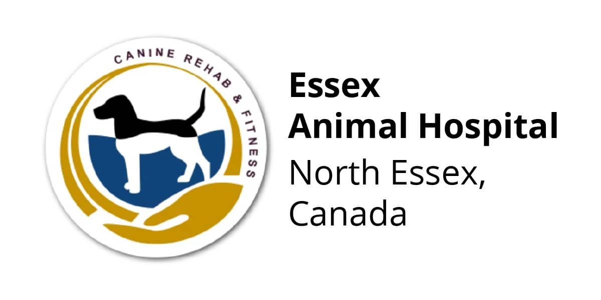 Essex dog hot sale and cat hospital